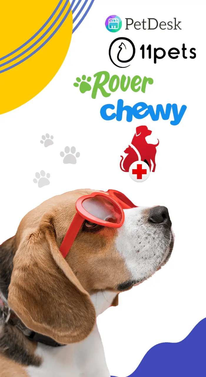 A dog in sunglasses and a red hat that represents 5 popular pet care mobile apps